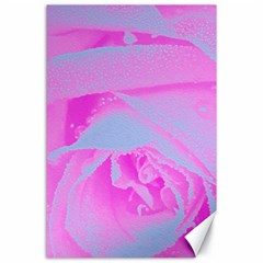 Perfect Hot Pink And Light Blue Rose Detail Canvas 24  X 36  by myrubiogarden