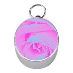 Perfect Hot Pink And Light Blue Rose Detail Mini Silver Compasses