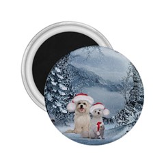 Christmas, Cute Dogs And Squirrel With Christmas Hat 2 25  Magnets by FantasyWorld7