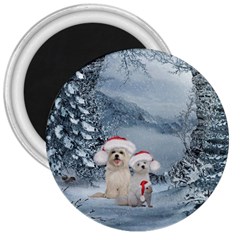 Christmas, Cute Dogs And Squirrel With Christmas Hat 3  Magnets by FantasyWorld7