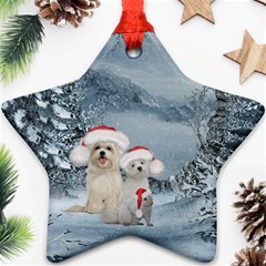 Christmas, Cute Dogs And Squirrel With Christmas Hat Ornament (star) by FantasyWorld7