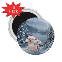 Christmas, Cute Dogs And Squirrel With Christmas Hat 2 25  Magnets (10 Pack)  by FantasyWorld7