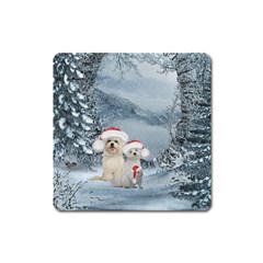 Christmas, Cute Dogs And Squirrel With Christmas Hat Square Magnet by FantasyWorld7