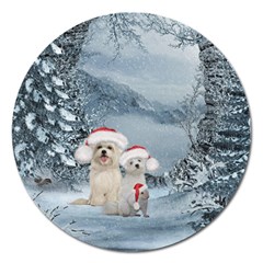 Christmas, Cute Dogs And Squirrel With Christmas Hat Magnet 5  (round) by FantasyWorld7