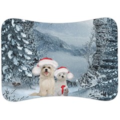 Christmas, Cute Dogs And Squirrel With Christmas Hat Velour Seat Head Rest Cushion by FantasyWorld7