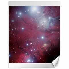 Christmas Tree Cluster Red Stars Nebula Constellation Astronomy Canvas 12  X 16 