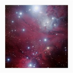 Christmas Tree Cluster Red Stars Nebula Constellation Astronomy Medium Glasses Cloth