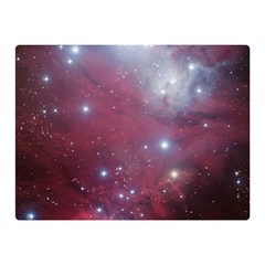 Christmas Tree Cluster Red Stars Nebula Constellation Astronomy Double Sided Flano Blanket (mini) 