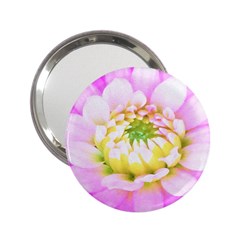 Pretty Pink, White And Yellow Cactus Dahlia Macro 2 25  Handbag Mirrors by myrubiogarden