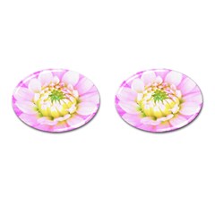 Pretty Pink, White And Yellow Cactus Dahlia Macro Cufflinks (oval) by myrubiogarden