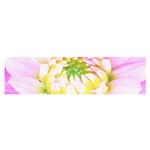 Pretty Pink, White And Yellow Cactus Dahlia Macro Satin Scarf (Oblong) Front