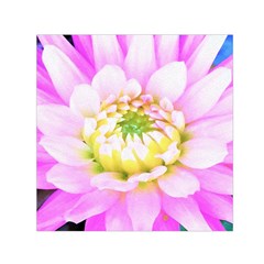 Pretty Pink, White And Yellow Cactus Dahlia Macro Small Satin Scarf (square) by myrubiogarden