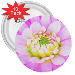 Pretty Pink, White And Yellow Cactus Dahlia Macro 3  Buttons (10 Pack)  by myrubiogarden