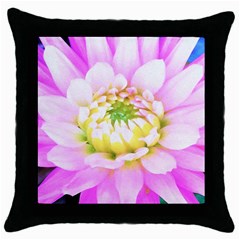 Pretty Pink, White And Yellow Cactus Dahlia Macro Throw Pillow Case (black) by myrubiogarden