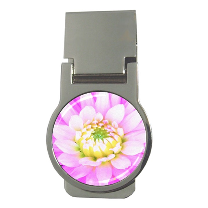 Pretty Pink, White And Yellow Cactus Dahlia Macro Money Clips (Round) 