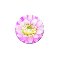 Pretty Pink, White And Yellow Cactus Dahlia Macro Golf Ball Marker (4 Pack) by myrubiogarden