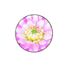 Pretty Pink, White And Yellow Cactus Dahlia Macro Hat Clip Ball Marker (4 Pack) by myrubiogarden