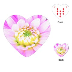 Pretty Pink, White And Yellow Cactus Dahlia Macro Playing Cards (heart) by myrubiogarden