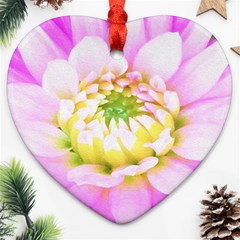 Pretty Pink, White And Yellow Cactus Dahlia Macro Heart Ornament (two Sides) by myrubiogarden