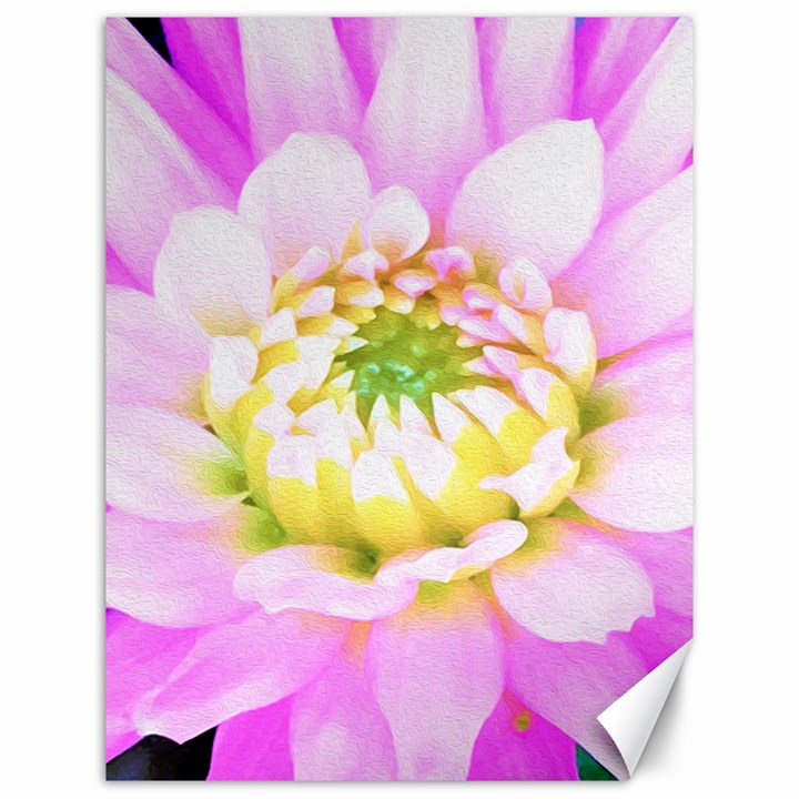 Pretty Pink, White And Yellow Cactus Dahlia Macro Canvas 12  x 16 