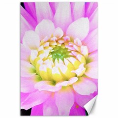 Pretty Pink, White And Yellow Cactus Dahlia Macro Canvas 12  X 18  by myrubiogarden