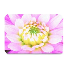 Pretty Pink, White And Yellow Cactus Dahlia Macro Plate Mats by myrubiogarden