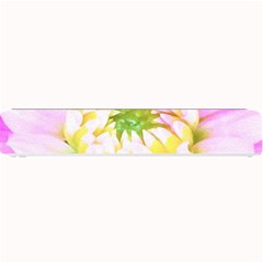 Pretty Pink, White And Yellow Cactus Dahlia Macro Small Bar Mats by myrubiogarden