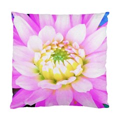 Pretty Pink, White And Yellow Cactus Dahlia Macro Standard Cushion Case (one Side) by myrubiogarden