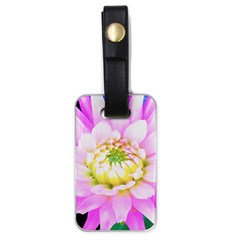 Pretty Pink, White And Yellow Cactus Dahlia Macro Luggage Tags (one Side)  by myrubiogarden