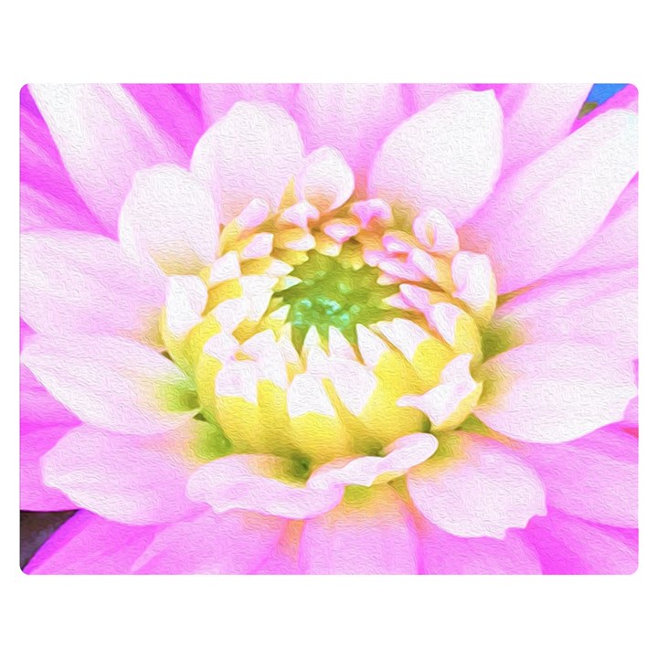 Pretty Pink, White And Yellow Cactus Dahlia Macro Double Sided Flano Blanket (Medium) 