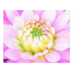 Pretty Pink, White And Yellow Cactus Dahlia Macro Double Sided Flano Blanket (large)  by myrubiogarden