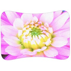 Pretty Pink, White And Yellow Cactus Dahlia Macro Velour Seat Head Rest Cushion by myrubiogarden