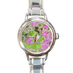 Hot Pink Succulent Sedum With Fleshy Green Leaves Round Italian Charm Watch by myrubiogarden