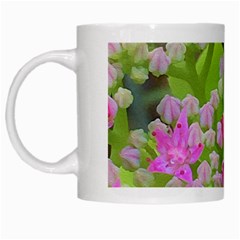 Hot Pink Succulent Sedum With Fleshy Green Leaves White Mugs by myrubiogarden