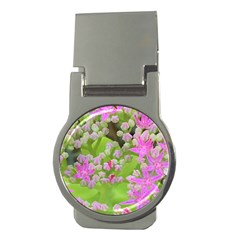 Hot Pink Succulent Sedum With Fleshy Green Leaves Money Clips (round)  by myrubiogarden