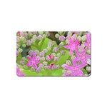 Hot Pink Succulent Sedum With Fleshy Green Leaves Magnet (Name Card) Front