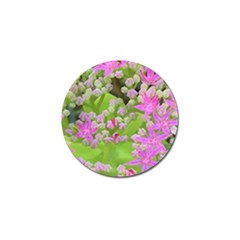 Hot Pink Succulent Sedum With Fleshy Green Leaves Golf Ball Marker by myrubiogarden