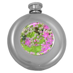 Hot Pink Succulent Sedum With Fleshy Green Leaves Round Hip Flask (5 Oz) by myrubiogarden