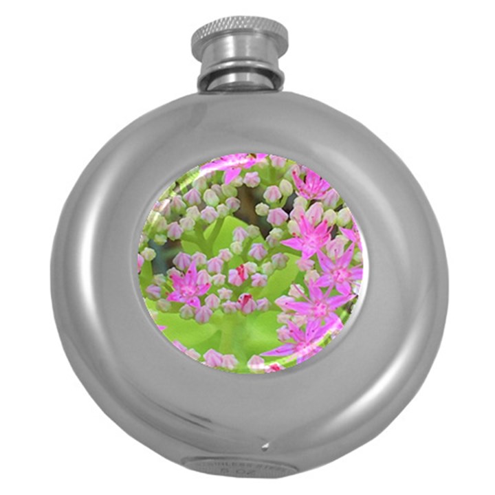 Hot Pink Succulent Sedum With Fleshy Green Leaves Round Hip Flask (5 oz)