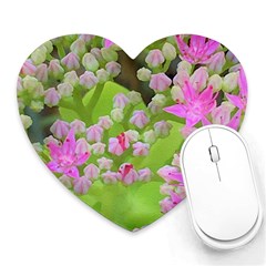 Hot Pink Succulent Sedum With Fleshy Green Leaves Heart Mousepads by myrubiogarden