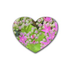 Hot Pink Succulent Sedum With Fleshy Green Leaves Rubber Coaster (heart)  by myrubiogarden