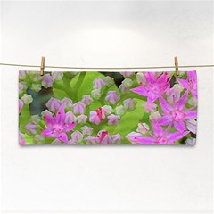 Hot Pink Succulent Sedum With Fleshy Green Leaves Hand Towel by myrubiogarden