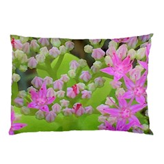 Hot Pink Succulent Sedum With Fleshy Green Leaves Pillow Case by myrubiogarden