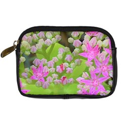 Hot Pink Succulent Sedum With Fleshy Green Leaves Digital Camera Leather Case by myrubiogarden