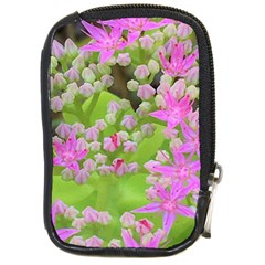 Hot Pink Succulent Sedum With Fleshy Green Leaves Compact Camera Leather Case by myrubiogarden