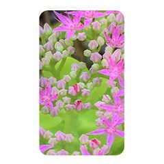 Hot Pink Succulent Sedum With Fleshy Green Leaves Memory Card Reader (rectangular) by myrubiogarden