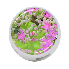 Hot Pink Succulent Sedum With Fleshy Green Leaves 4-port Usb Hub (one Side) by myrubiogarden