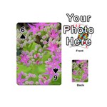 Hot Pink Succulent Sedum With Fleshy Green Leaves Playing Cards 54 (Mini) Front - Spade6