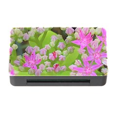 Hot Pink Succulent Sedum With Fleshy Green Leaves Memory Card Reader With Cf by myrubiogarden