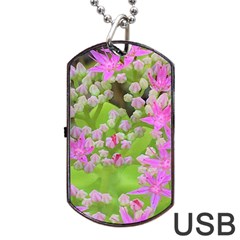 Hot Pink Succulent Sedum With Fleshy Green Leaves Dog Tag Usb Flash (two Sides) by myrubiogarden